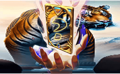 Animal Tiger Memory Match